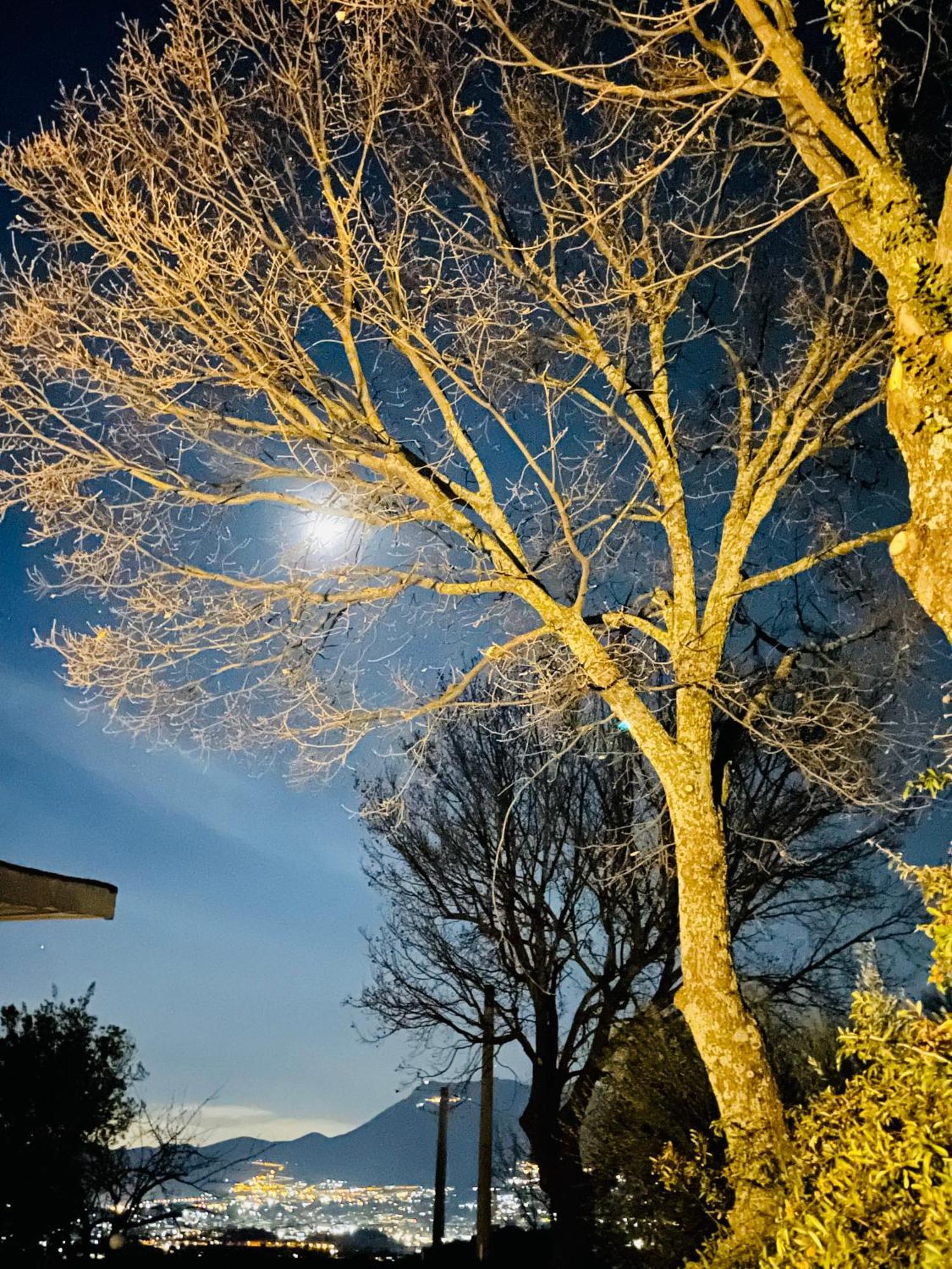 Villa Mandetta B&B Santo Stefano del Sole Εξωτερικό φωτογραφία