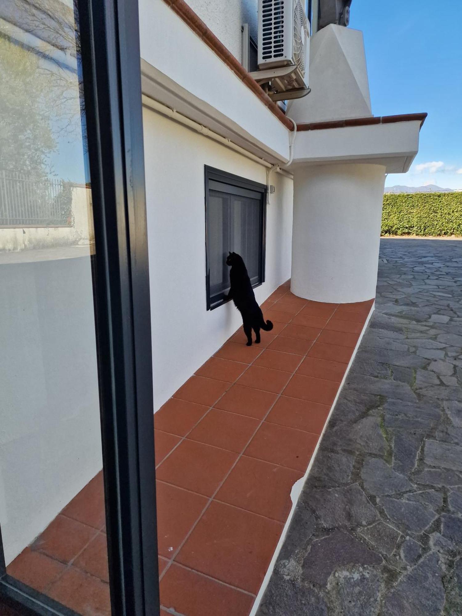 Villa Mandetta B&B Santo Stefano del Sole Εξωτερικό φωτογραφία