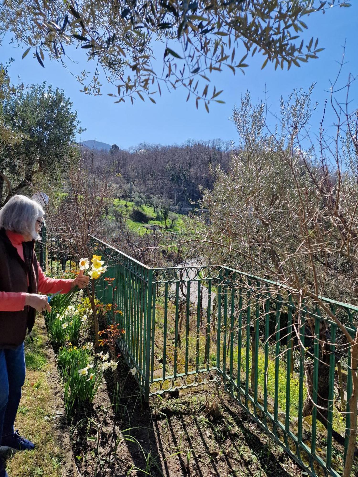 Villa Mandetta B&B Santo Stefano del Sole Εξωτερικό φωτογραφία